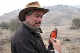 L. Michael Romero ’88 in the wild holding an orange and black bird perched on his hand